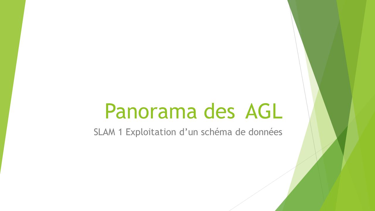 SLAM 1 Exploitation d un sch ma de donn es